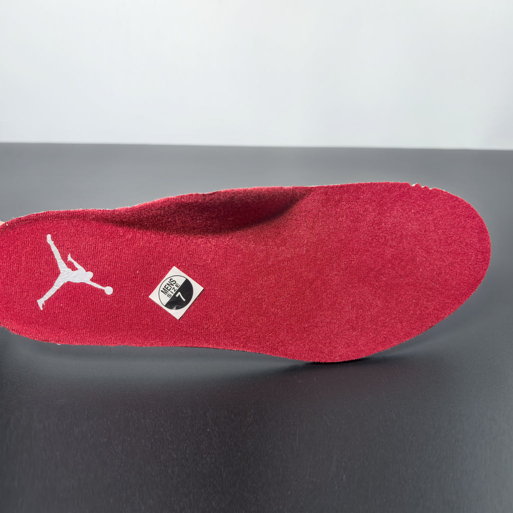 Air Jordan 10 Retro "Red Steel"