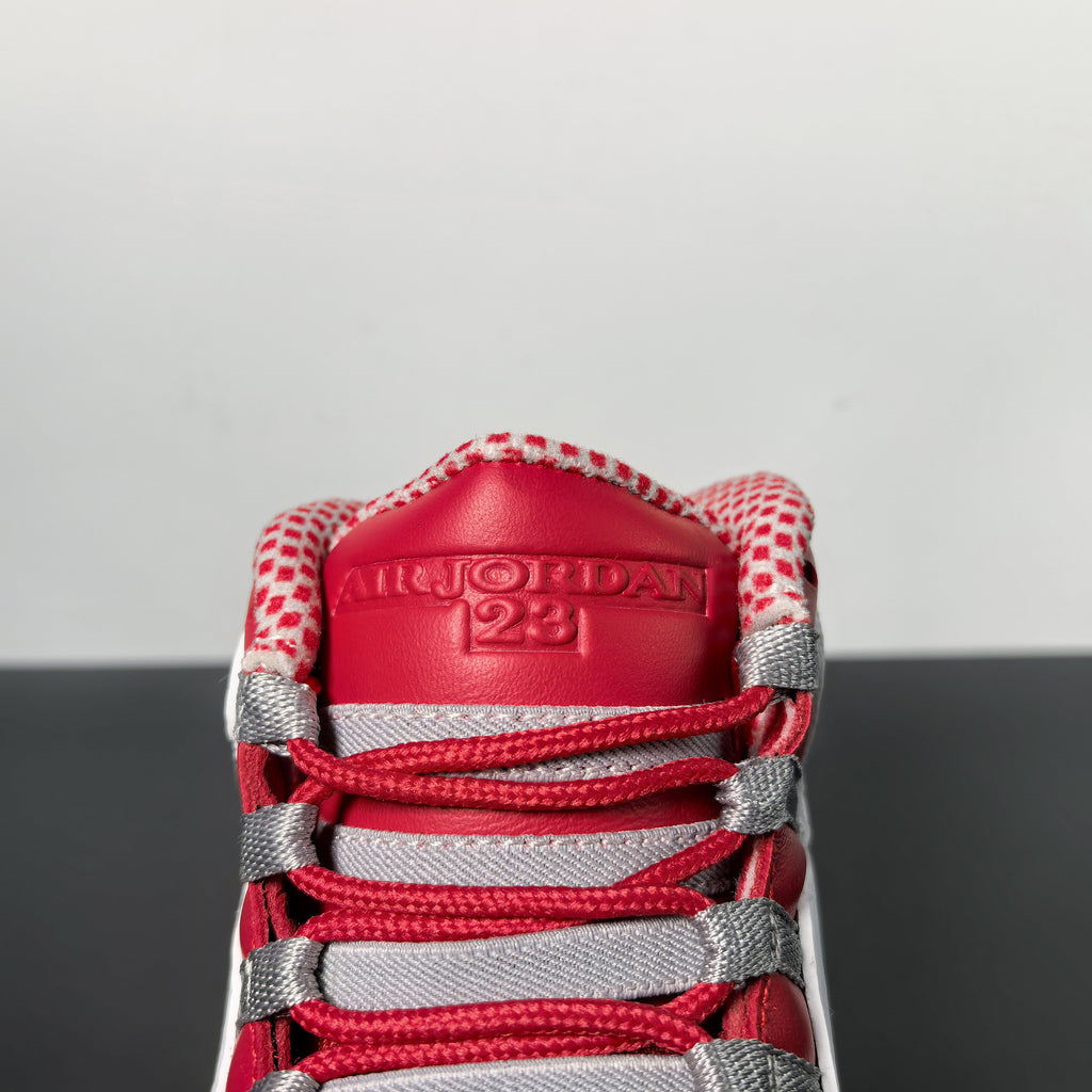 Air Jordan 10 Retro "Chicago"